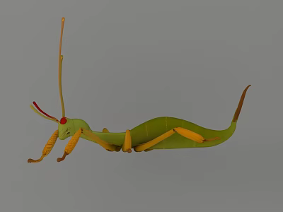 Green Flying Animal With Slender Body And Yellow Antennae On Gray Background 3d model