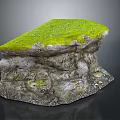 Natural Wood Stone Decorative Piece With Green Moss Covered Surface And Textured Base