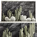 Stone Background Wall Decor With Various Cacti Arranged On Wooden Shelf 3d model