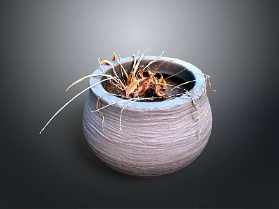 Wilted Dried Grass Plant in Textured Clay Pot on Neutral Gray Background 3d model