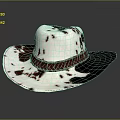 White and Brown Cowhide Cowboy Hat With Braided Leather Band And Wide Brim
