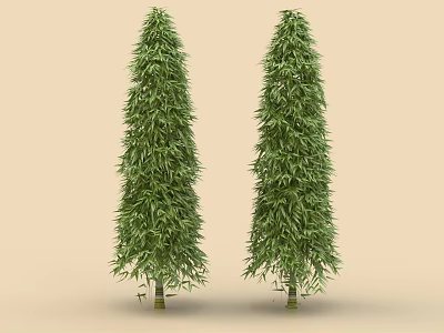 Two Tall Evergreen Arbors With Lush Green Foliage And Upright Trunks 3d model