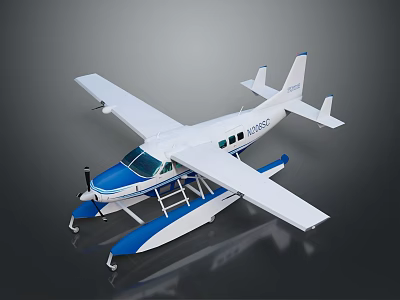 Modern Blue And White Seaplane With Floats And Aerodynamic Exterior Design 3d model