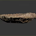 Ancient Ammonite Fossil With Detailed Spiral Texture And Brown White Patterns