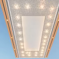 Modern Ceiling Design With Illuminated Center Panel And Decorative LED Lights 3d model