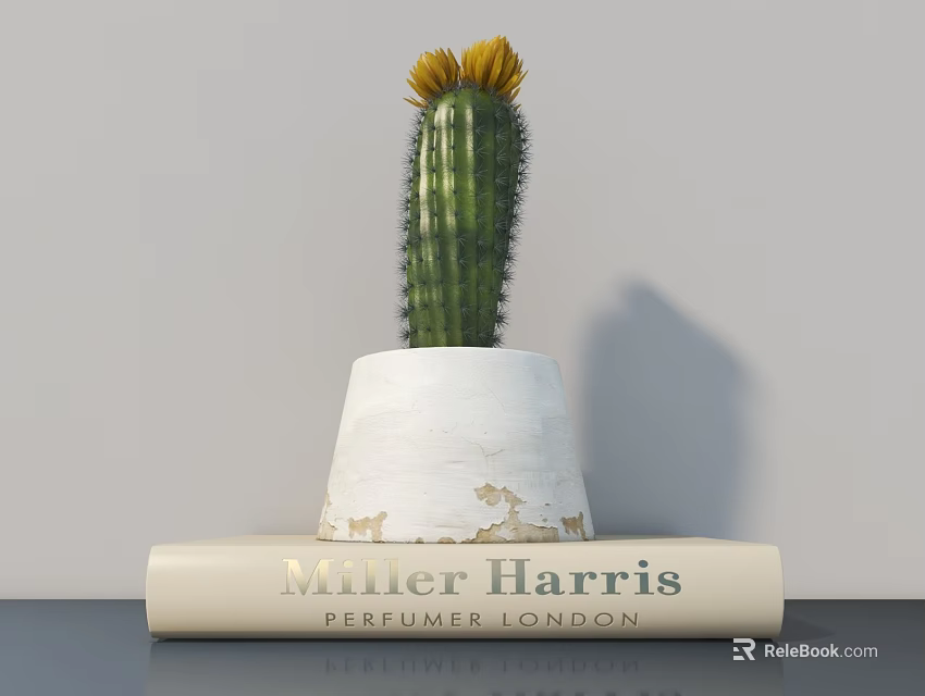 Cactus Potted Plant in White Worn Pot on Book with Yellow Flower Top 3d model 