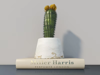 Cactus Potted Plant in White Worn Pot on Book with Yellow Flower Top 3d model