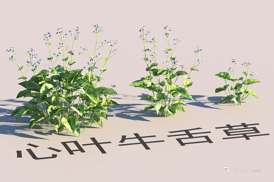 Garden Landscape Design Featuring Heartleaf Cowherb With Green Leaves And Blue Flowers 3d model 