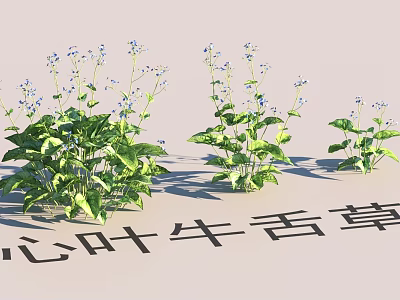 Garden Landscape Design Featuring Heartleaf Cowherb With Green Leaves And Blue Flowers 3d model