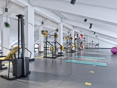 Modern Gym 3d model