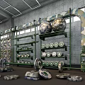 Camouflage Themed Fitness Gym With Exercise Balls Dumbbell Plates And Shelves