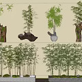 Decorative Bamboo Plants in Various Containers Including Tree Stumps and White Pots Arranged in Rows