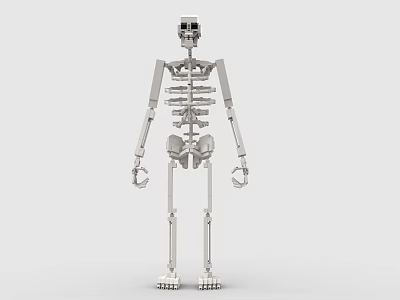 Educational Building Blocks Human Skeleton Model With Posable Joints And Detailed Structure 3d model