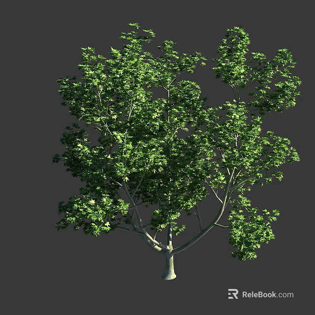 Lush Green Tree With Dense Foliage And Sturdy Trunk In Natural Environment 3d model 