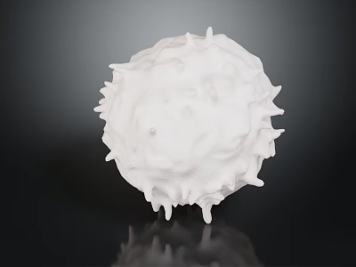 Spherical Biological Organ Structure With Hair Like Protrusions On White Surface 3d model