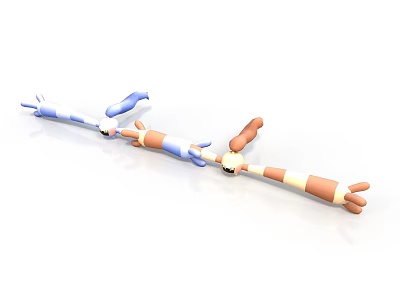 Long Articulated Toy Structure With Blue Orange Segments And Joints 3d model