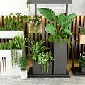 Bonsai Potted Plants With Green Leaves And Colorful Flowers In Modern Containers For Indoor Decoration