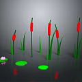 Red Cattails Green Lily Pads And Pink Lotus Flower Growing On Water Surface With Reflections