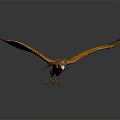 Modern Eagle Carving 3d model