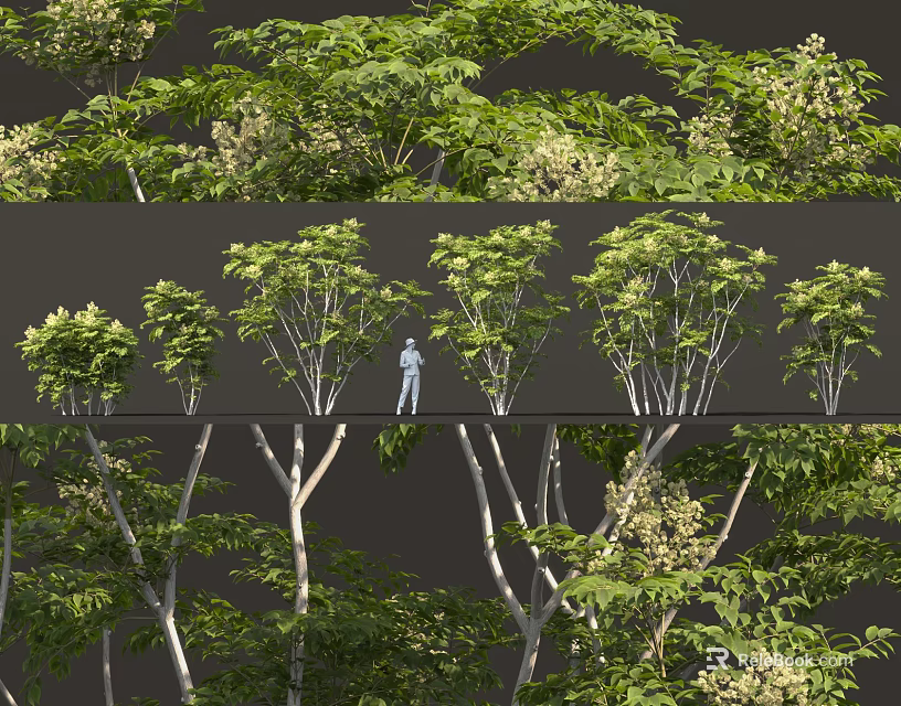 Lush Green Shrubs With Dense Foliage In Natural Outdoor Landscape Setting 3d model 