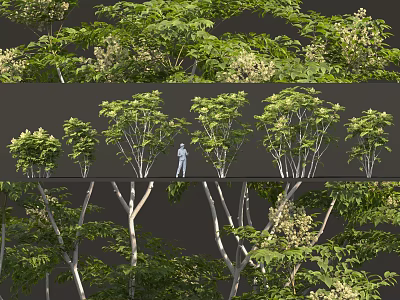 Lush Green Shrubs With Dense Foliage In Natural Outdoor Landscape Setting 3d model