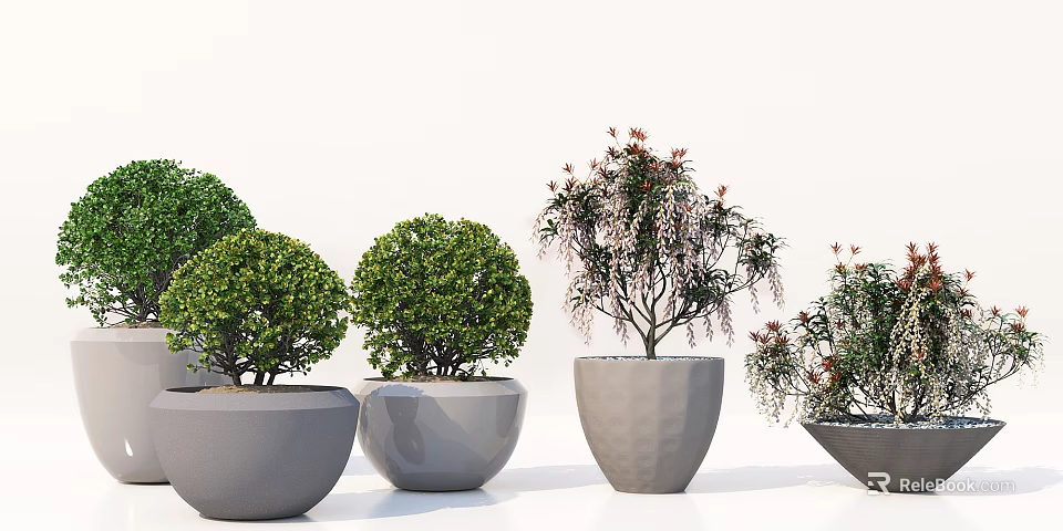 Potted Bonsai Plants With Various Shapes Green Foliage And Decorative Gray Planters 3d model 