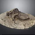 Handcrafted Wooden Decorative Sculpture on Natural Stone Base with Artistic Texture and Detailed Design