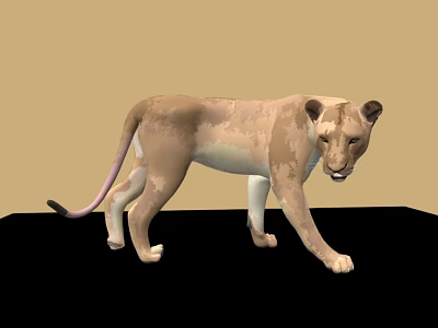 3D Rendered Lioness In Walking Pose With Brown White Fur And Simple Background 3d model