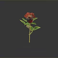Red Rose Plant with Green Stem and Leaves on Gray Background with Clear Reflection