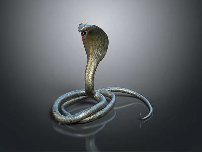 Hooded Cobra Coiled With Shiny Scales On Dark Reflective Background 3d model