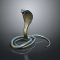 Hooded Cobra Coiled With Shiny Scales On Dark Reflective Background