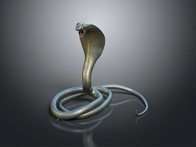Hooded Cobra Coiled With Shiny Scales On Dark Reflective Background 3d model