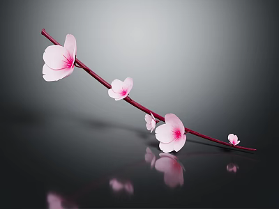 Delicate Pink Blossom Branch with Flowers on Dark Background with Reflections 3d model