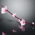 Delicate Pink Blossom Branch with Flowers on Dark Background with Reflections