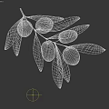 Fresh Olive Branch With Vibrant Green Olives And Lush Green Leaves