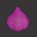 Fresh Whole Garlic Bulb With Natural Papery Skin And White Flesh