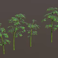 Green Bamboo in Various Shapes Arranged in a Row with Dark Brown Background