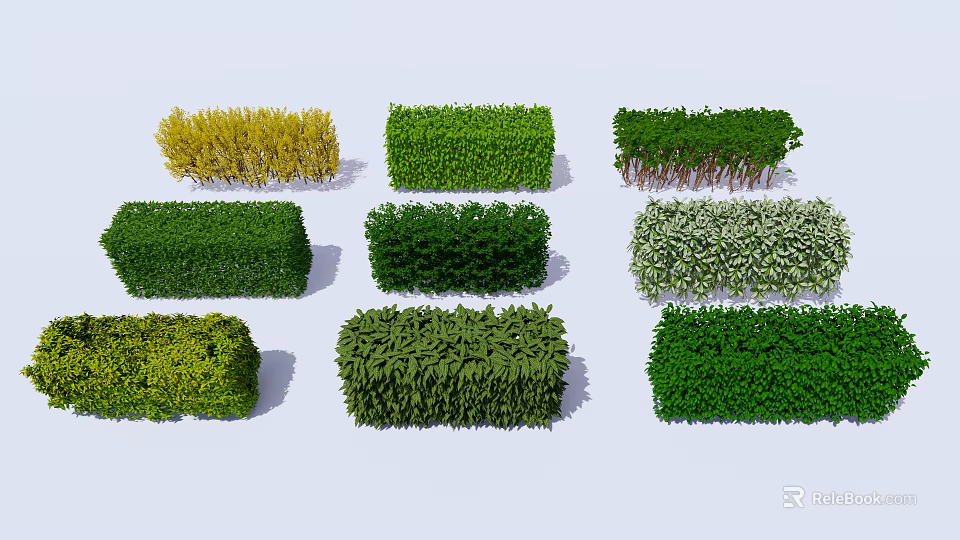 Different Types of Decorative Shrubs with Various Green Yellow and White Foliage for Garden Landscaping 3d model 