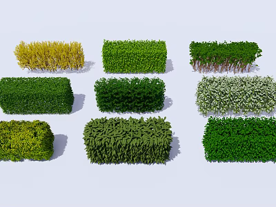 Different Types of Decorative Shrubs with Various Green Yellow and White Foliage for Garden Landscaping 3d model
