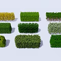 Different Types of Decorative Shrubs with Various Green Yellow and White Foliage for Garden Landscaping