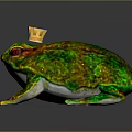 Frog Poison Frog Game Frog Reptile Cold Blooded Animal Reptile 3d model