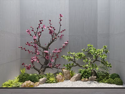 Courtyard Garden Design With Pink Flowering Tree Green Tree Stones Small Shrubs And Gravel Ground 3d model