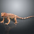 Brown Spotted Lizard Standing On Black Smooth Surface With Gray Gradient Background 3d model