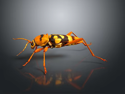Orange and Black Spotted Beetle With Long Antennae and Legs on Dark Background 3d model