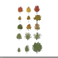 Diverse Arbor Trees Showcasing Colorful Foliage With Human Figures For Scale 3d model