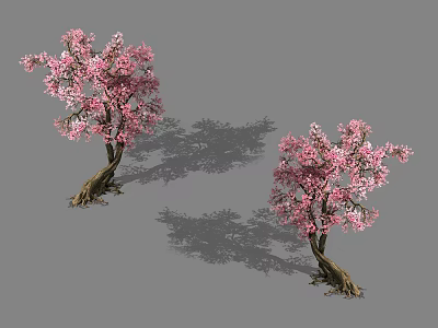 Two Blossoming Trees With Pink Flowers And Brown Trunks In Gray Background 3d model