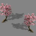 Two Blossoming Trees With Pink Flowers And Brown Trunks In Gray Background
