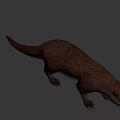 Realistic Brown Otter 3D Model With Detailed Fur And Natural Posture