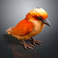 Vibrant Orange and Yellow Bird with White Head Feathers Standing on Dark Reflective Surface