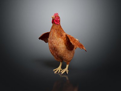 Modern hen animals 3d model